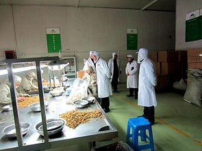 金海社區多措并舉，筑牢節前食品生產企業安全防線