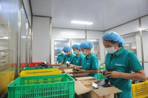濃濃中秋情，感恩志愿者 愛心企業慰問市城區疫情防控志愿者與食品添加劑生產從業者